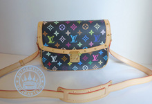 Louis Vuitton Multicolor Sologne Handbag, in Black